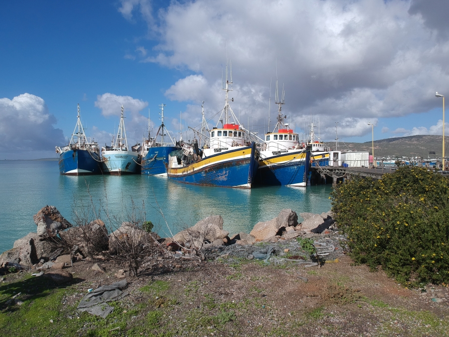 0 Bedroom Property for Sale in St Helena Views Western Cape